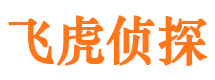 玉树外遇调查取证